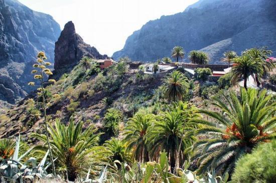 Marody House Vacacional Daire Granadilla De Abona Dış mekan fotoğraf